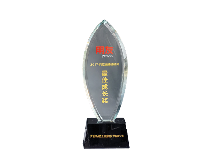 2020用友最佳成长奖
